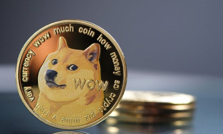 Dogecoin casino software